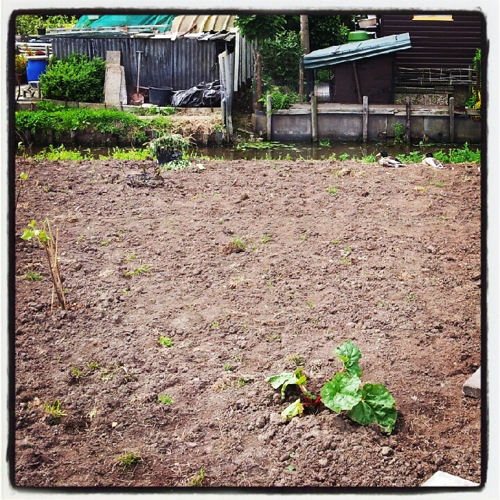 IMG_20120612_094521