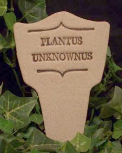 Plantus Unknownus