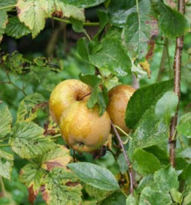 Ruwe Sloterdijk